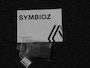 Renault Symbioz 1.6 E-Tech full hybrid 145 iconic