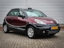 Citroën C3 Pluriel 1.4i Charleston | Clima | Leer | Lichtmetaal | Audio |