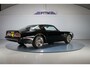 Pontiac Trans-Am Firebird 6.6 FW 87