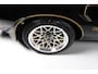 Pontiac Trans-Am Firebird 6.6 FW 87