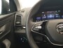 Skoda Karoq 1.5 TSI 150pk DSG/AUT Business Edition Camera, Winterpakket, Virtual cockpit