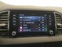 Skoda Karoq 1.5 TSI 150pk DSG/AUT Business Edition Camera, Winterpakket, Virtual cockpit