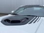 Dodge Challenger 392 HEMI Scat Pack Shaker R/T