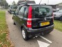 Fiat Panda 1.2 Edizione Cool | Airco