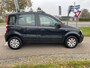 Fiat Panda 1.2 Edizione Cool | Airco