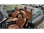 BMW 4-Serie Cabrio 420i Luxury + VOLLEER + NEKVERWARMING + NAVIGATIE