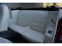 Ford Mustang Convertible V8 302 Automatic