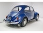 Volkswagen Kever 1200 Standard Zeldzame standard uitvoering, One year only, VW Blau