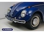 Volkswagen Kever 1200 Standard Zeldzame standard uitvoering, One year only, VW Blau