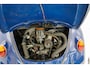 Volkswagen Kever 1200 Standard Zeldzame standard uitvoering, One year only, VW Blau
