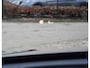 BMW X1 18d sDrive High Executive / head-up display / panoramadak / camera achter / zwart leer