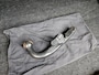 Nissan Murano CrossCabriolet 3.5 V6 20" Trekhaak Leer Keyless