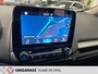 Ford EcoSport 1.0 EcoBoost Trend Ultimate- Navigatie-Camera-Cruise controle