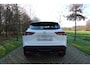 Nissan Qashqai 1.3 MHEV Xtronic Business Access | Winterpakket | DAB | LED | Verw. stuurwiel | Stoelverwarming |