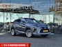 Lexus RX 450h AWD President Line Pano leder Navi Lmv Voll