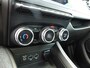 Renault Zoe R110 ZE 50 Experience Batterijkoop / Pack Winter / Camera