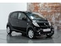 Peugeot iOn Active I Cruise controle I Rijklaarprijs