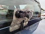 Isuzu D-Max LSX AT 2,5 Ltr Twin Turbo Dubbele Cabine 5Th Wheel Grijs kenteke