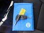 Fiat Talento 1.6 MJ L2H1 SX | Airco | Cruise | Trekhaak | Navi |