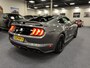 Ford Mustang USA Fastback 5.0i V8 GT Premium 460PK Automaat Performance Package