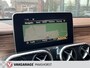 Mercedes-Benz X-klasse 250 d 4-MATIC Progressive BTW 360°Camera/Keyless/PDC/LED/DAB/Clima/Airco/Cruise/Navi/Trekhaak/Bluetooth