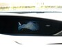 Honda Civic 1.8 Lifestyle 5-drs Xenon|Stoelverw.|PDC|Enz.