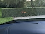 BMW X6 M 555 PK