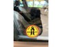 Volkswagen Golf 2.0 TSI R 4Motion 300PK | Automaat | Achteruitrijcamera | Climate control | Adaptief onderstel | Apple carplay | Navigatie | Bearlock | Cruise control | Pretoria velgen