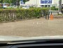 Toyota C-HR 2.0 Plug-in Hybrid 220 Première Edition PANODAK HEAD-UP EL-ACHTERKLEP JBL-AUDIO 19'' LM-VELGEN TREEPLANKEN 360° CAMERA BLIND SPOT NAVI APPLE/ANDROID CLIMA STOEL/STUURVERW