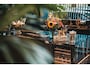 Daimler Double Six 6.0 V12 LWB SPOTGOEDKOOP ,ORIGINEEL NL AUTO, NAP, H/K, LEDER, ECC-AIRCO, STOELVERWARMING, ELEKTRISCH VERSTELBAAR STUURWIEL