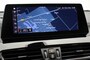 BMW X2 sDrive18d Executive Edition - Camera, Navi, Xenon