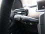 Citroën C4 Cactus PureTech 110PK S&S H6 Business, Rijklaarprijs | Navigatie | Climate Control | Lichtmetalen wielen