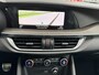 Alfa Romeo Stelvio 2.0 T AWD First Edition 280pk / Pano / rijklaar