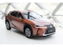 Lexus UX 300e Luxury Line 73 kWh | Mark Levinson Audio | Apple Carplay Android Auto | 12.3" Display |