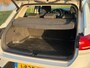 Volkswagen T-Roc 1.5 TSI Style Business Automaat - White Silver - Supercompleet