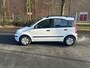 Fiat Panda 1.1 Active Plus FIJNE HOGE INSTAP EN GOEDKOOP RIJDEN