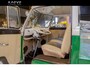 Volkswagen Transporter Pick-up Project auto