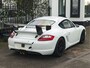 Porsche Cayman S | Race car | 315 pk 3.4