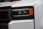 Toyota Land Cruiser 2.8 D-4D 5DRS PROFESSIONAL A/T VAN BPM VRIJ