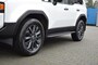 Toyota Land Cruiser 2.8 D-4D 5DRS PROFESSIONAL A/T VAN BPM VRIJ