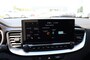 Kia Xceed 1.6 GDi PHEV Plug In DynamicLine  - Navi - camera - stoel/stuur