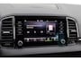 Skoda Karoq 1.5 TSI 150pk DSG ACT Business Edition | Smartlink Navigatie | Camera | Adaptive Cruise Control