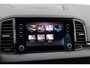 Skoda Karoq 1.5 TSI 150pk DSG ACT Business Edition | Smartlink Navigatie | Camera | Adaptive Cruise Control