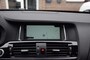 BMW X3 XDRIVE20I CENTENNIAL HIGH EXECUTIVE