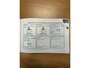 Mitsubishi Grandis 2.4-16V InSport, 7 persoons, climatronic, cruisecontrol, pdc, trekhaak etc