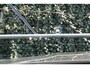 Mercedes-Benz E-klasse E 300e Estate Automaat AMG Line | Nightpakket | Winterpakket | MBUX Superscreen | Distronic | Airmatic | Panoramadak | Head-Up | Burmester 4D Audio | Sfeerverlichting