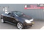 Opel Tigra TwinTop 1.4-16V Linea Rosso Airco.Leer.Lm.velgen.Stoelverwm.