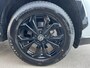 Toyota RAV4 2.5 Hybrid AWD Bi-Tone Navigatie, Stoel- & Stuurwielverwarming, JBL, LED, LMV, Nieuw Type, Achteruitrijcamera, Leder/alcantara