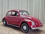 Volkswagen Kever 1200 Belgisch Geleverd / 1973 / Handgeschakeld / Belastingvrij / APK vrij