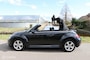 Volkswagen Beetle Cabriolet 1.2 TSI 